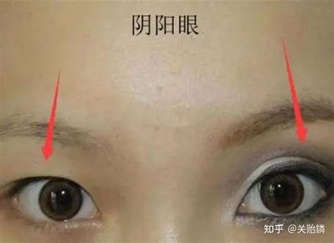 面相 眼睛|面相看眼睛教学：39种决定人生运势的眼型 （大合。